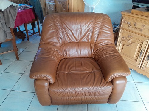 Fauteuils salon cuir - de,